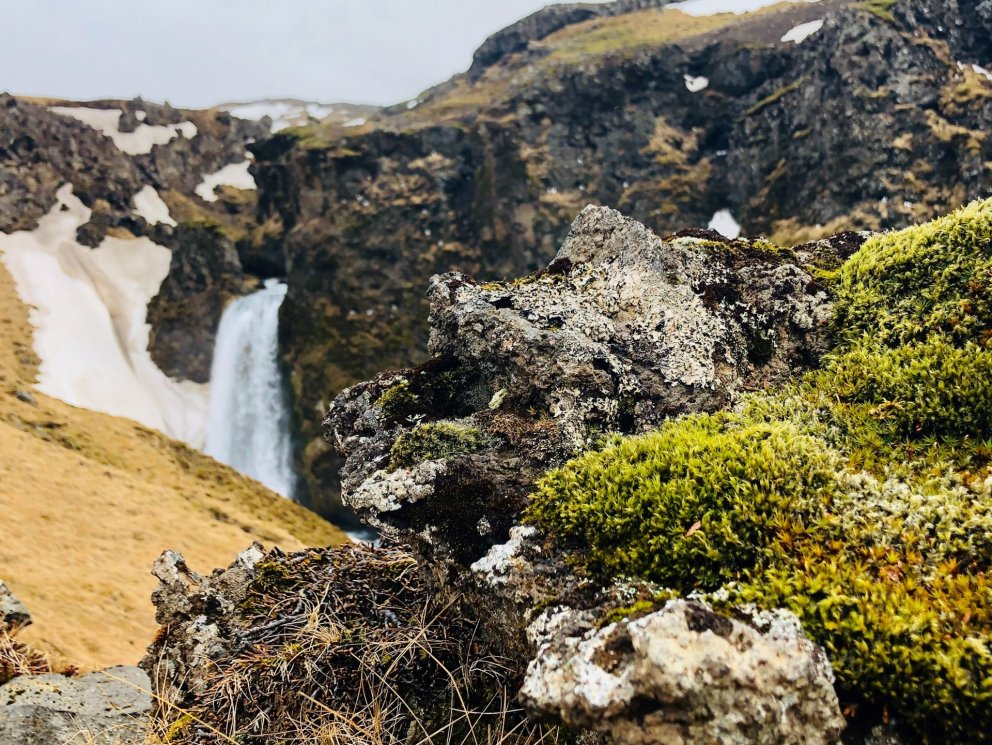 Fundarboð: 265. fundur sveitarstjórnar Rangárþings eystra