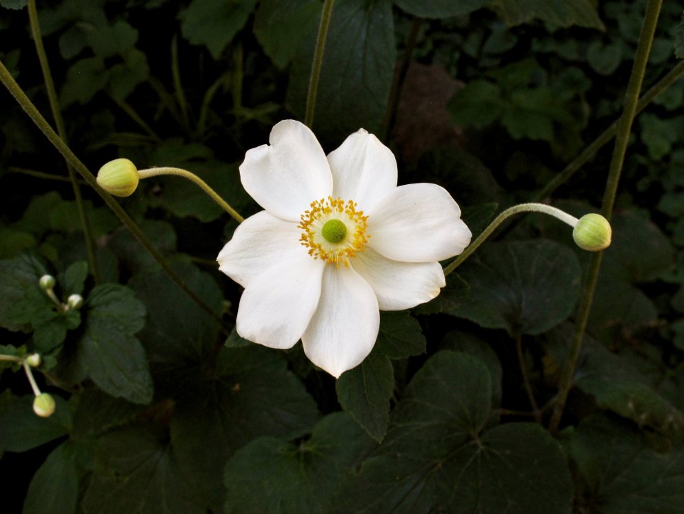 Fundarboð - 237. fundur byggðarráðs Rangárþings eystra