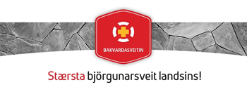 Bakvarðasveit