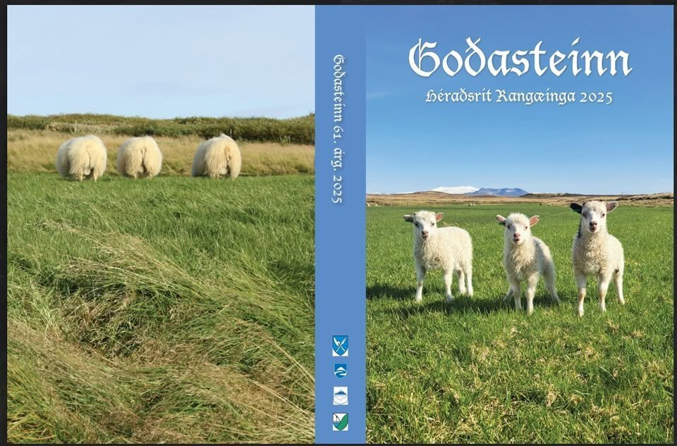 Útgáfuhóf Goðasteins