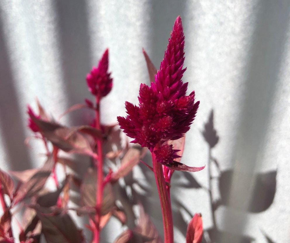 Fundarboð: 268. fundur sveitarstjórnar Rangárþings eystra