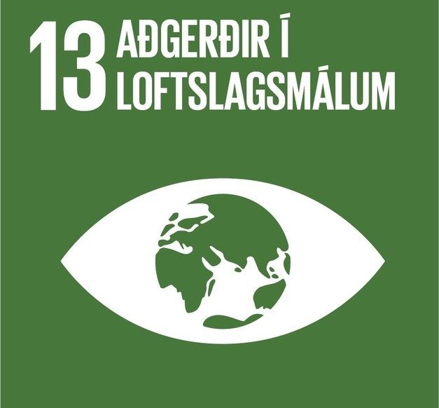 Loftslagsstefna Rangárþings eystra