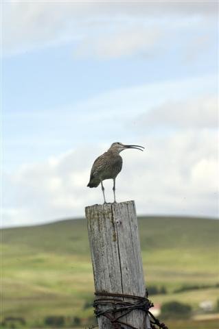 Laust starf: Markaðs- og kynningarfulltrúi Rangárþings eystra
