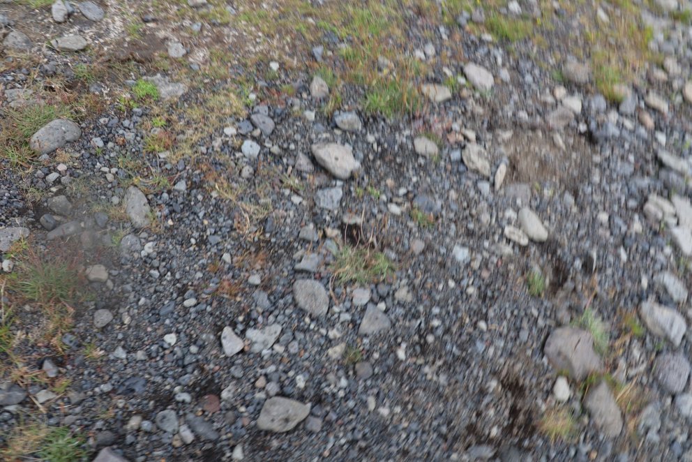 Tæming rotþróa í Rangárþingi eystra