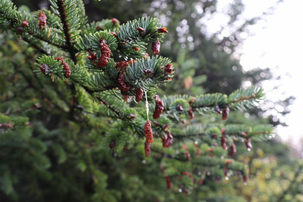 Fundarboð 271. fundur sveitarstjórnar Rangárþings eystra