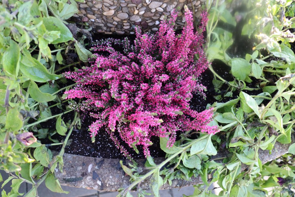 Gatnagerð og framkvæmdir á Hvolsvelli