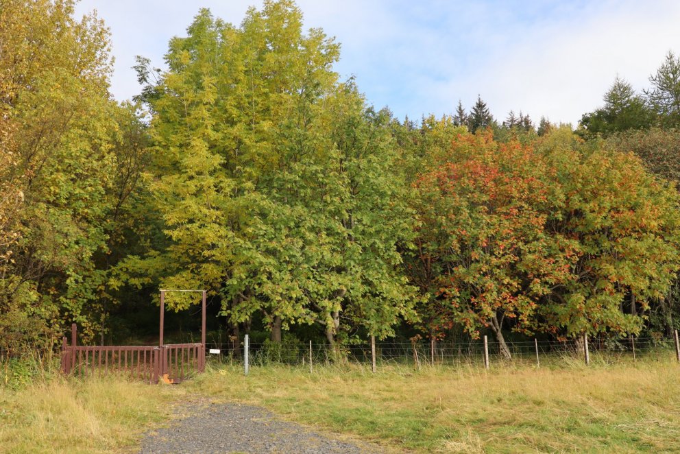 Fundarboð 219. fundur Byggðarráðs