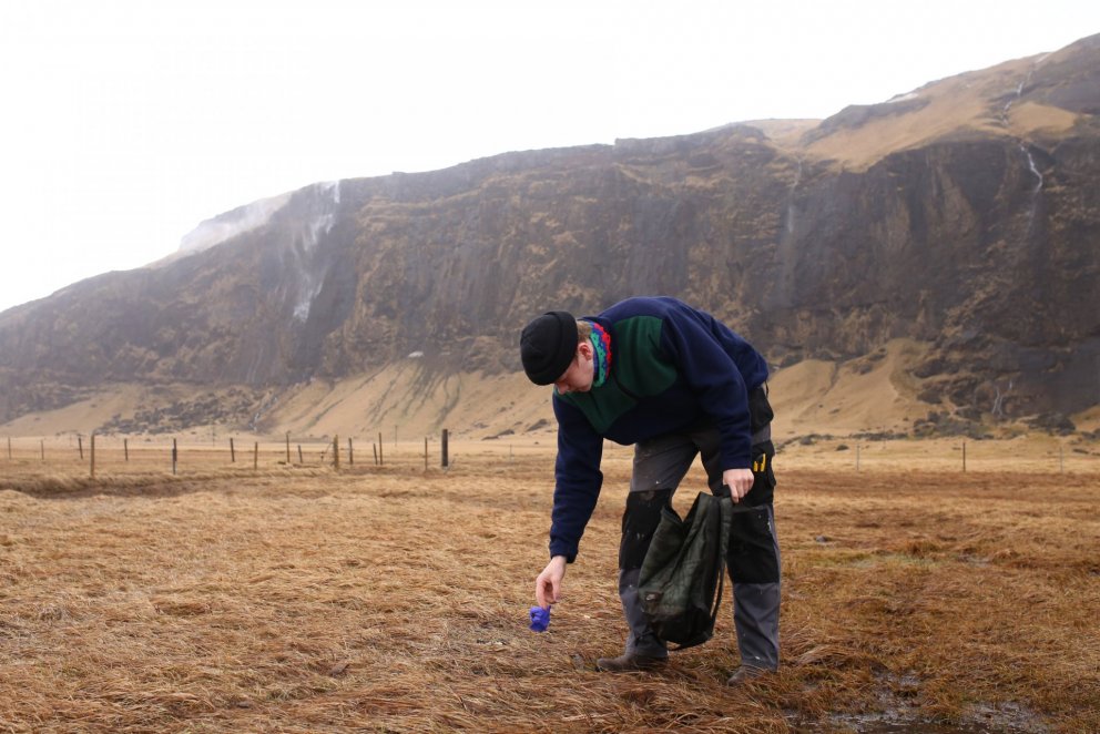 Vorhreinsun UMF Trausta