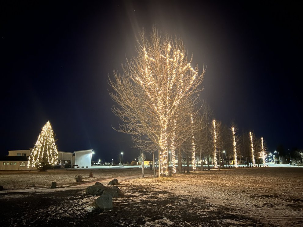 Jólatré á miðbæjartúnið