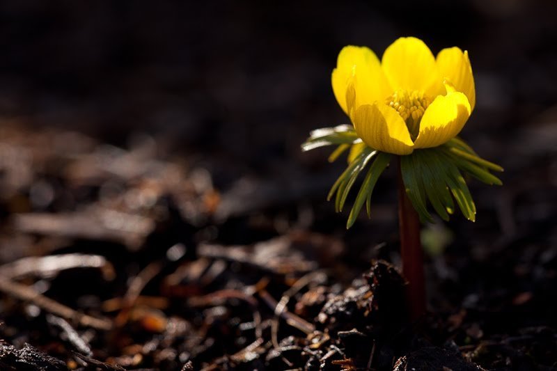 Opnunartími á Strönd yfir páskana