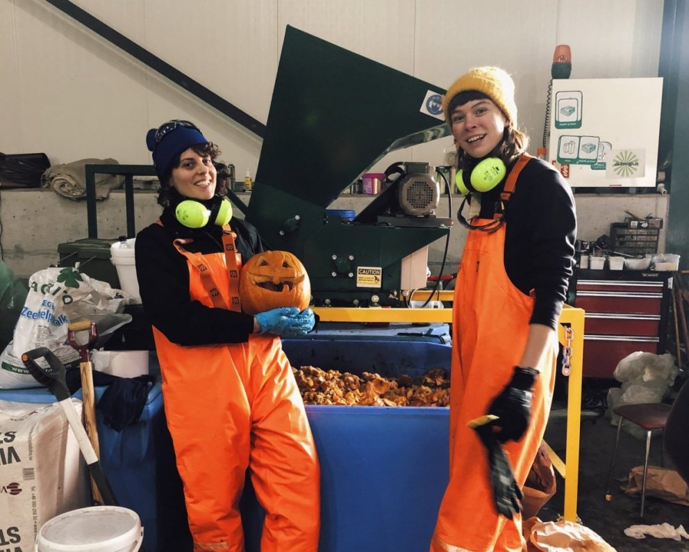 Framhaldstilraunaverkefni Jarðgerðar á Strönd!