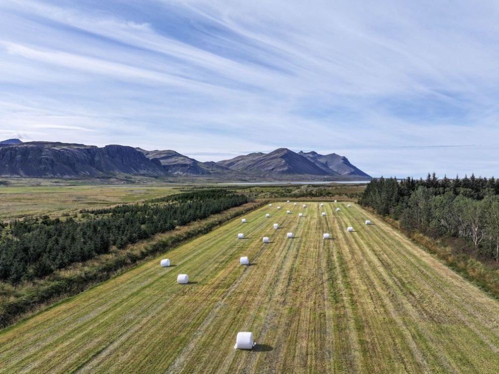 Málstofa um eignarhald á landbúnaðarlandi á Íslandi