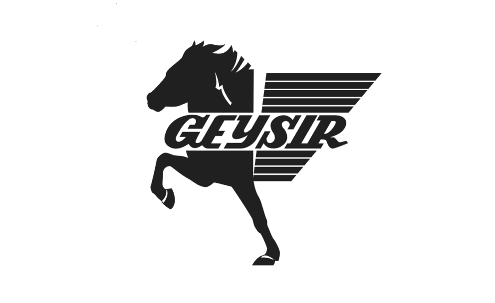 Skráning er hafin á námskeið Geysis