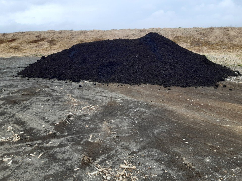 Molta í boði á móttökustöðinni á Strönd