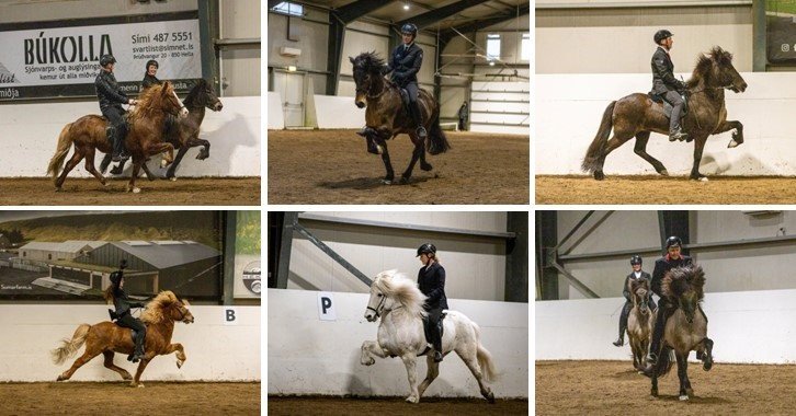 Stórsýning Sunnlenskra hestamanna