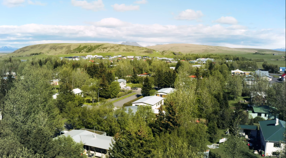 Gróður á lóðarmörkum