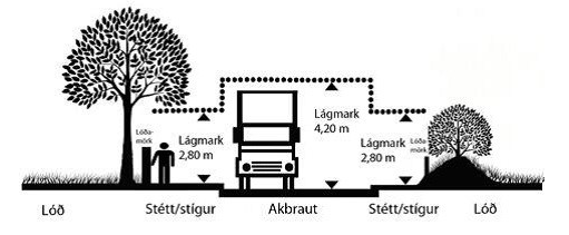 Trjágróður á lóðamörkum