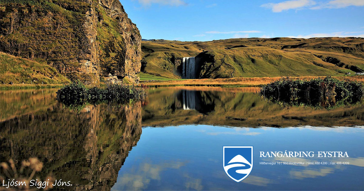 Juda chiroyli mushuk jinsiy aloqa